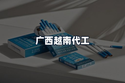 广西越南代工